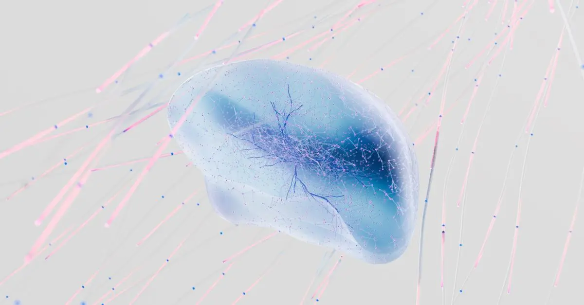 The Science Behind Music and Memory